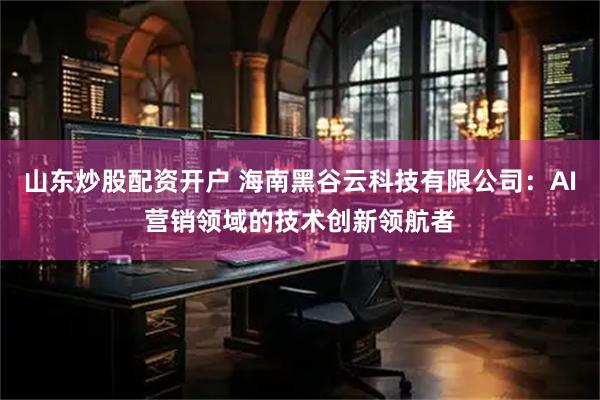 山东炒股配资开户 海南黑谷云科技有限公司：AI营销领域的技术创新领航者